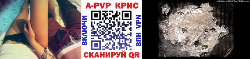 Купить закладки  Нолинск  A-PVP крисы CK 