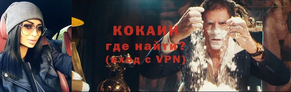 МДПВ Краснослободск