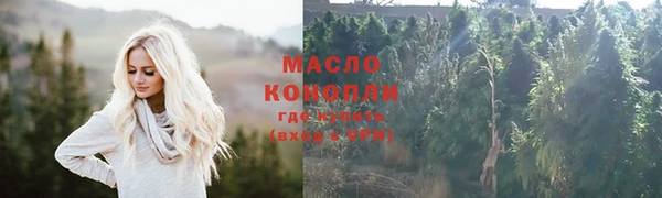 МДПВ Краснослободск