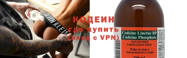 ешки Корсаков