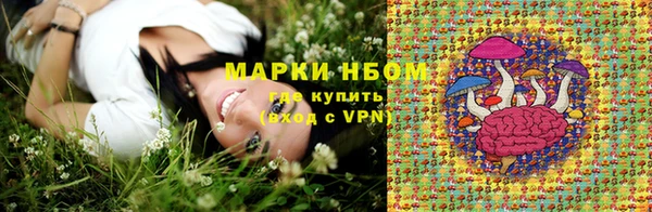 МДПВ Краснослободск