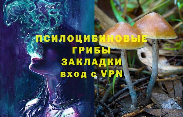 прущая мука Шали