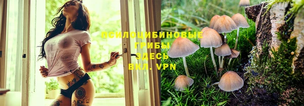 трава Шадринск