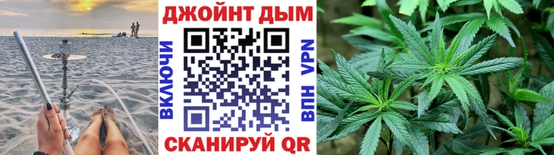 Купить где  Нолинск  Конопля планчик 